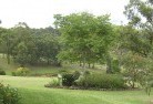 Rob Royresidential-landscaping-40.jpg; ?>